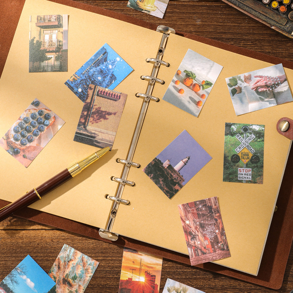 9565e0b7-a0dd-44f1-8bc4-1ac6749663b7_1000x1000