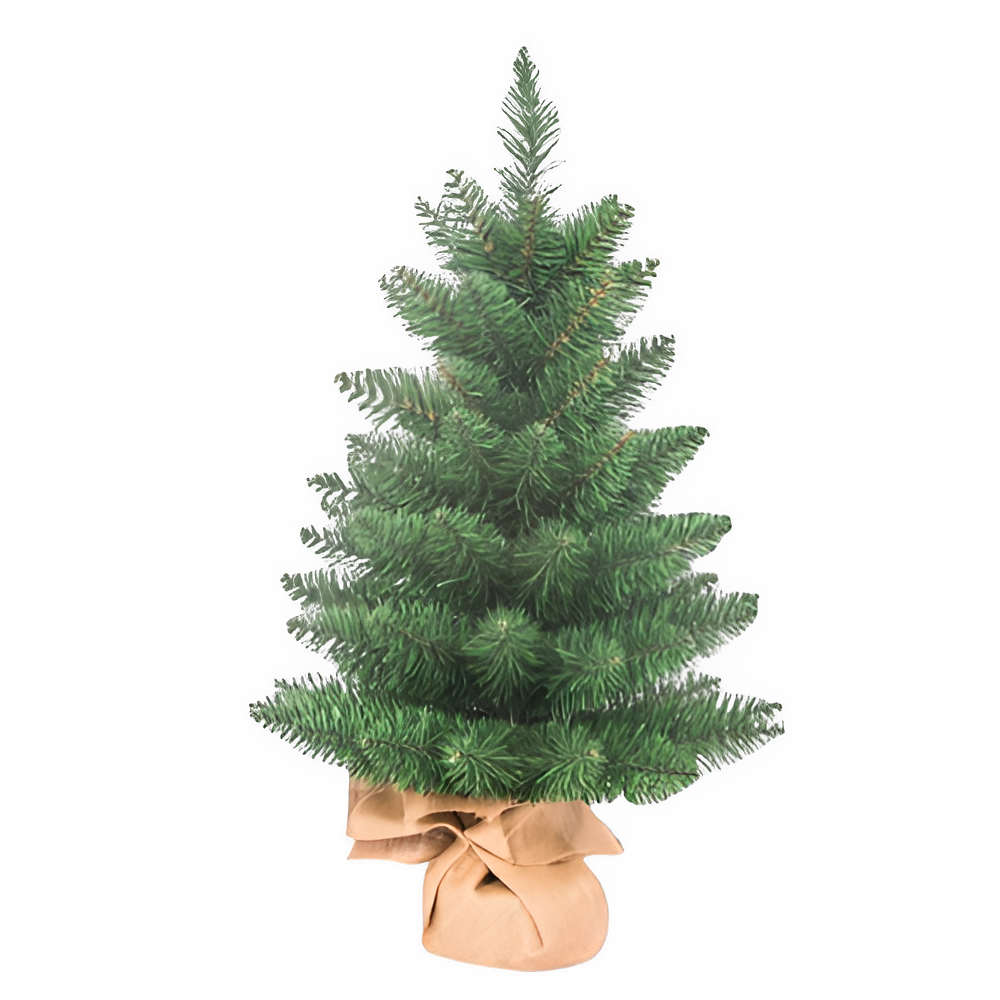 d0628ff3-f274-482f-9b4e-2f441a9d4365